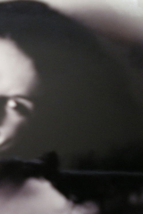 Ynomitset YM (2006) poster