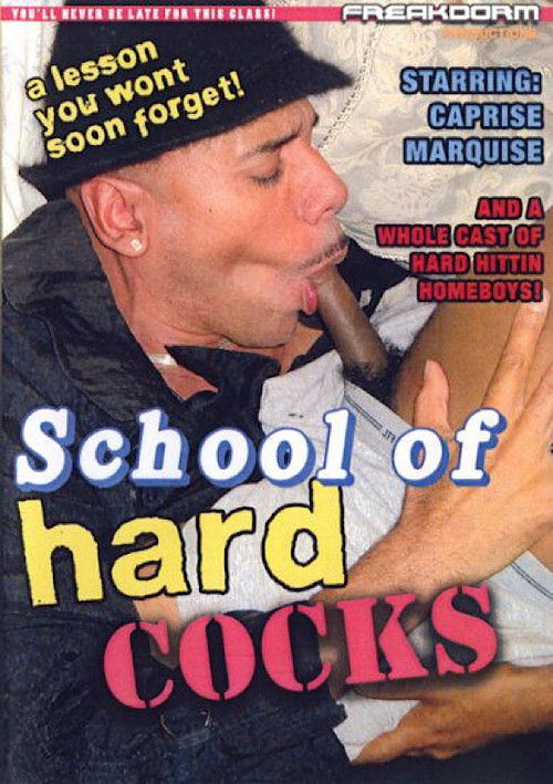 School of Hard Cocks (2011) poster