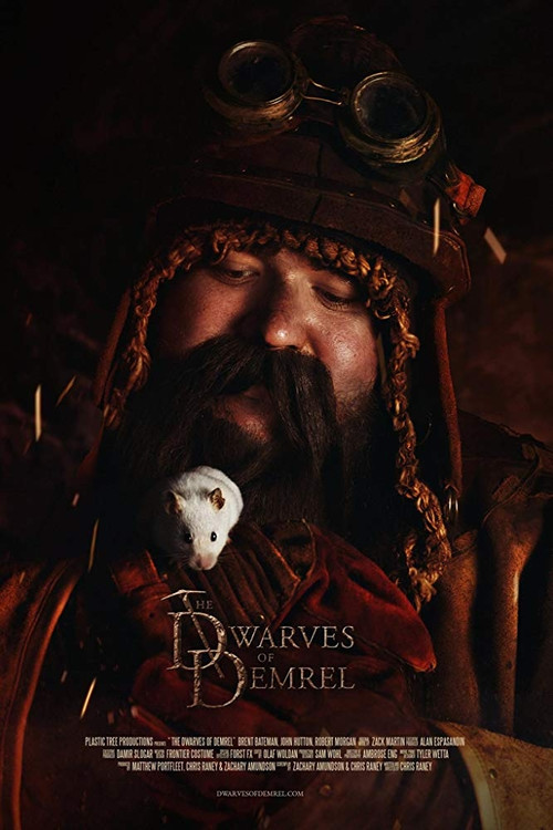 The Dwarves of Demrel (2018) poster