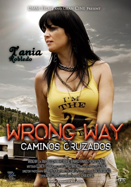 Caminos Cruzados (2008) poster