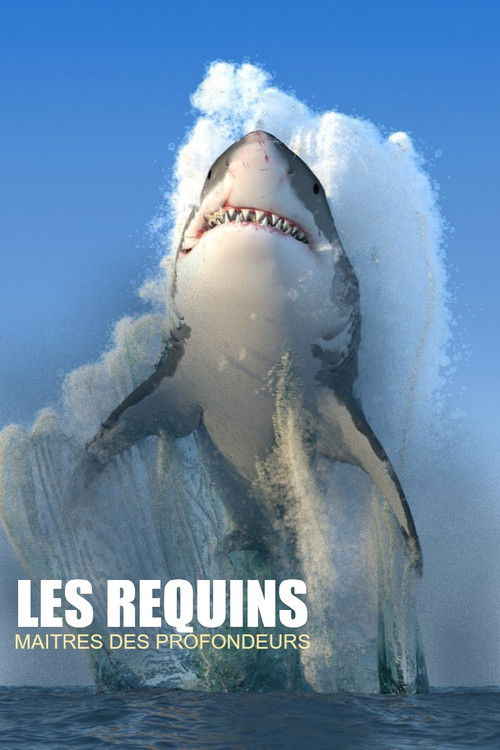 Les requins, maîtres des profondeurs (2020) poster