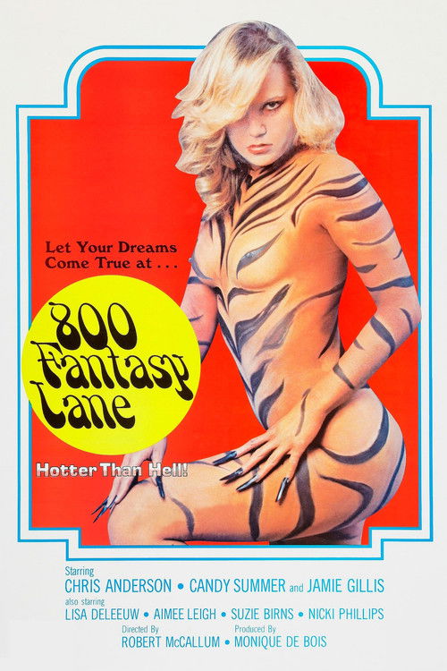 800 Fantasy Lane (1979) poster