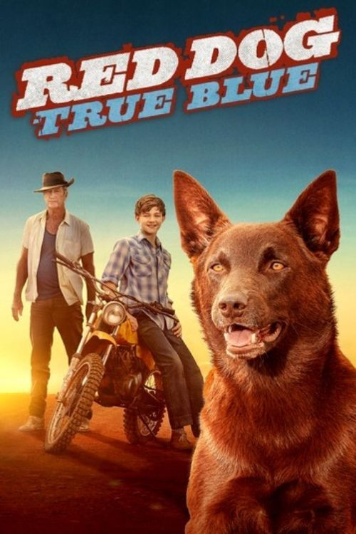 Red Dog: True Blue (2016) poster