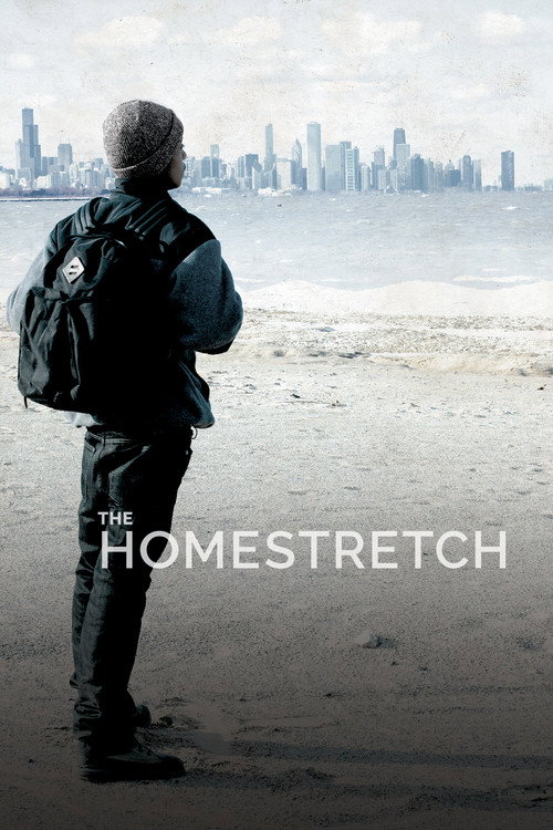 The Homestretch (2014) poster