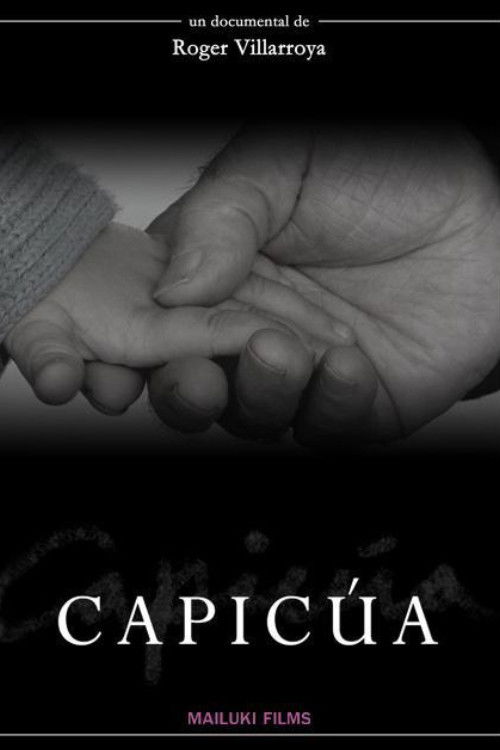 Capicúa (2010) poster