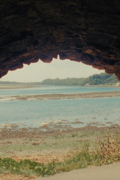 Enceindre (2018) poster