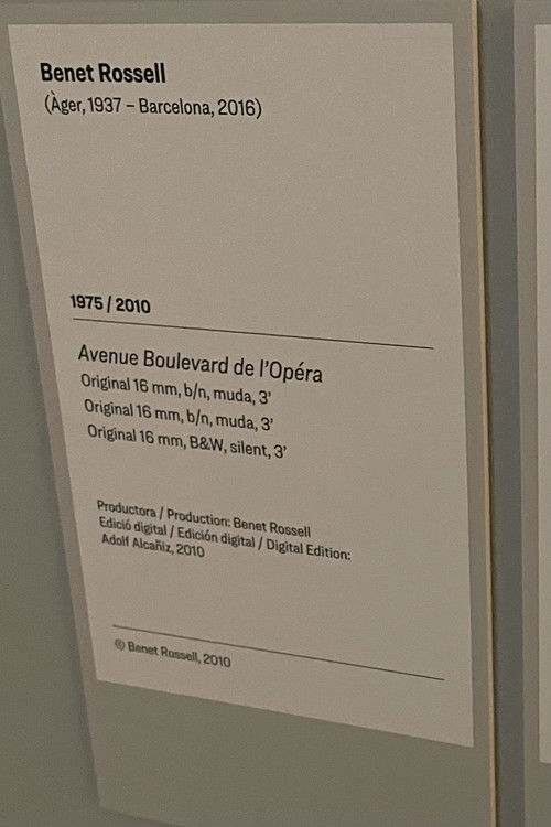 Avenue Boulevard de l'Opéra (1975) poster