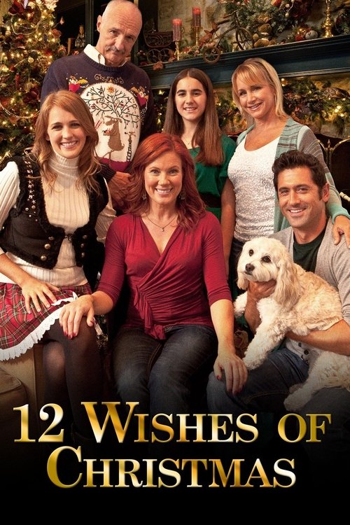 12 Wishes of Christmas (2011) poster
