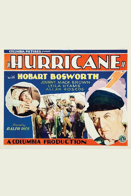 Hurricane (1929) poster