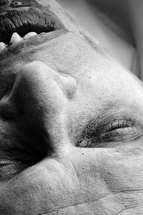 After Everything (2014) poster