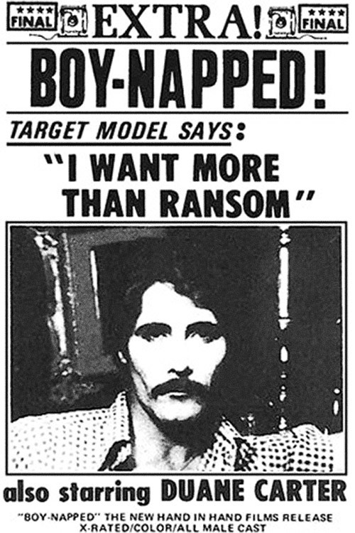 Boy 'Napped (1975) poster