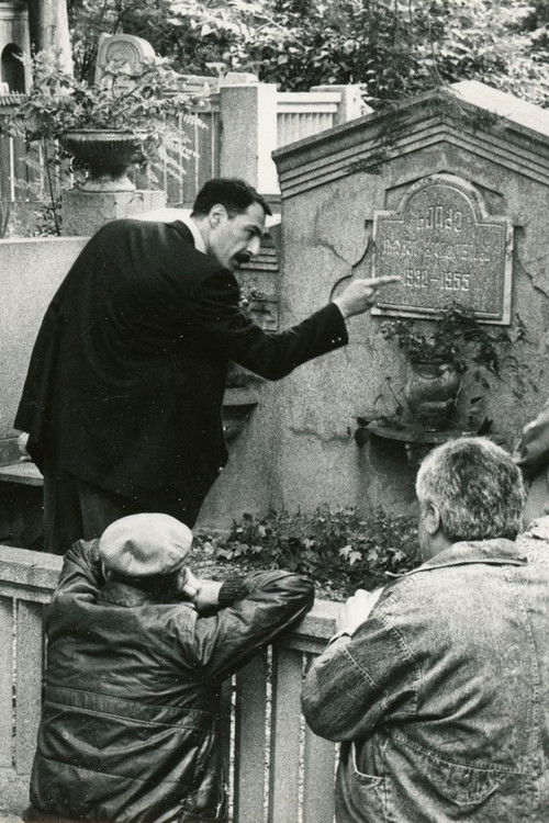 Express Information (1994) poster