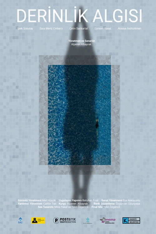 Perception of Depth (2020) poster