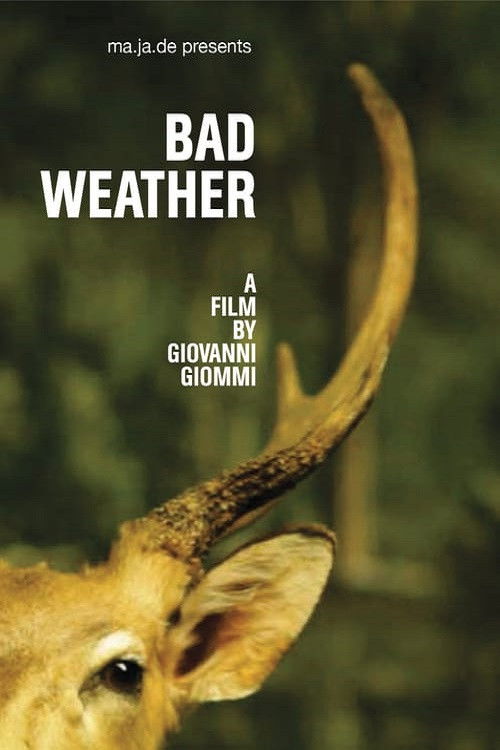 Bad Weather (2011) poster