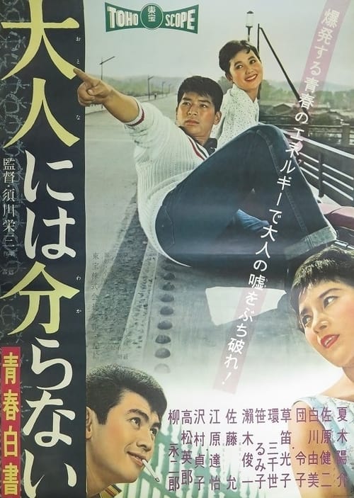 青春白書 大人には分らない (1958) poster