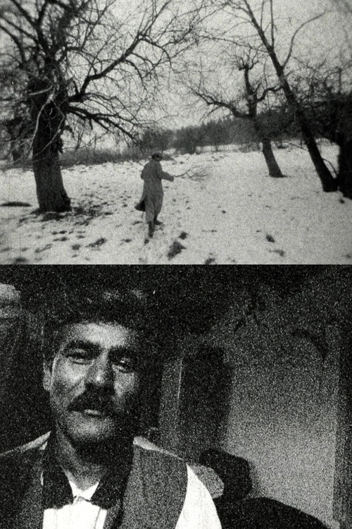 Dobré srdce (Lačho jilo) (1999) poster