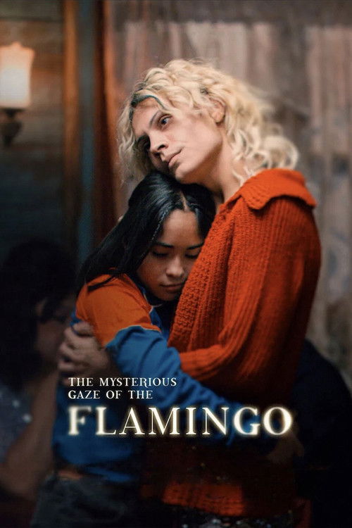 Flamingonun Gizemli Bakışı (2025) poster