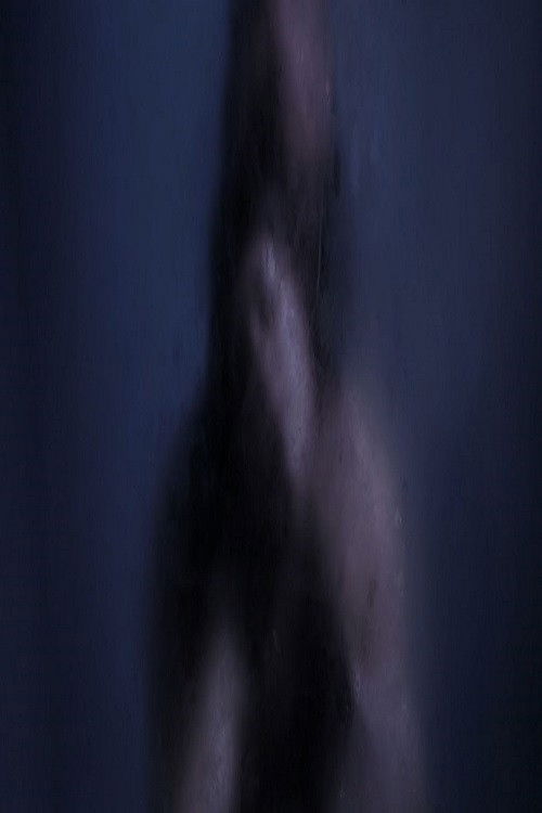 Baisers Nocturnes (2014) poster