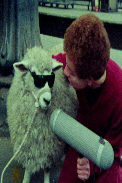 The Punk Kebab Documentary (1978) poster