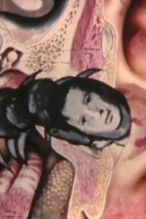 Big Bug Attack (2002) poster