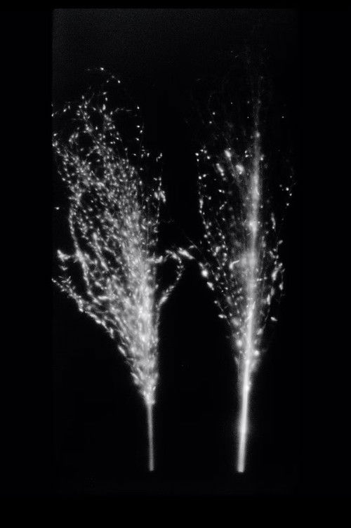 Fukushima, Autoradiography poster