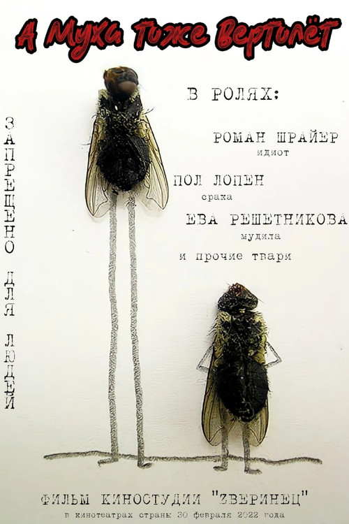 A Fly Is Also a Helicopter (2021) poster