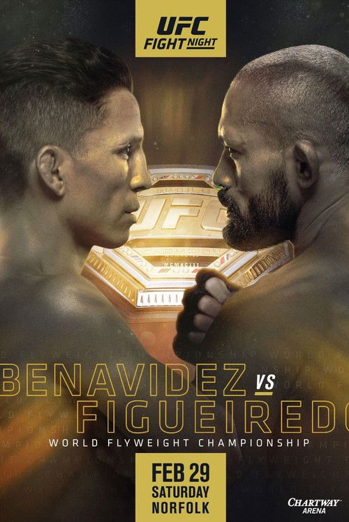 UFC Fight Night 169: Benavidez vs. Figueiredo (2020) poster