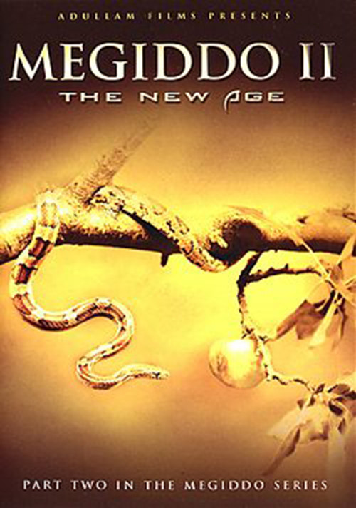 Megiddo 2: The New Age (2005) poster