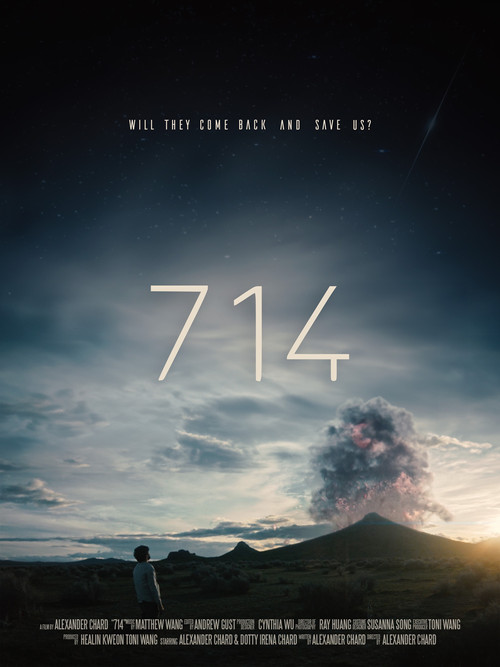 714 (2024) poster
