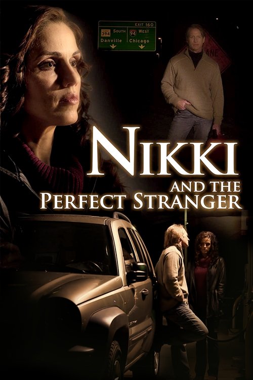 Nikki and the Perfect Stranger (2013) poster