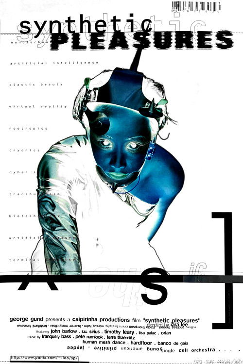 Synthetic Pleasures (1995) poster
