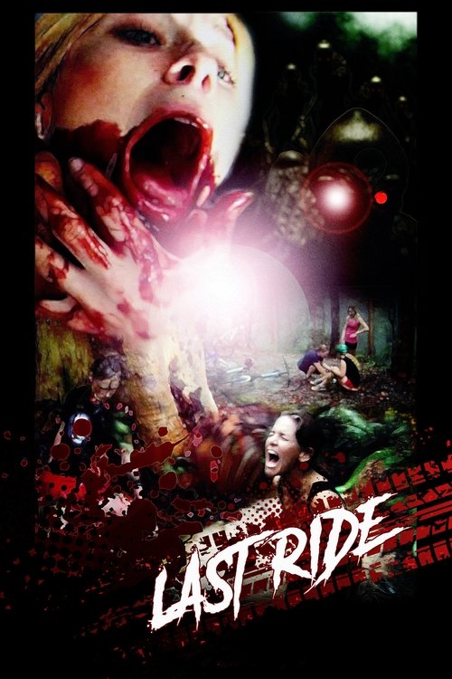 Last Ride (2011) poster