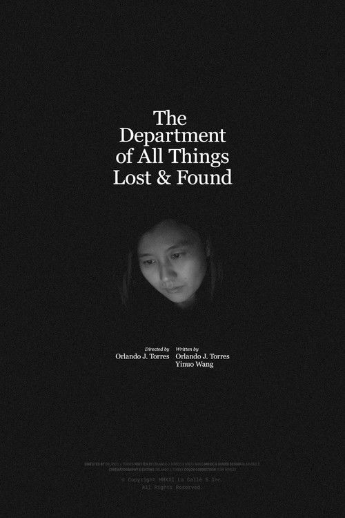 The Department of All Things Lost & Found poster