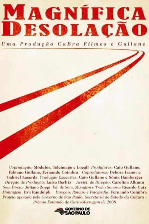 Magnificent Desolation (2010) poster