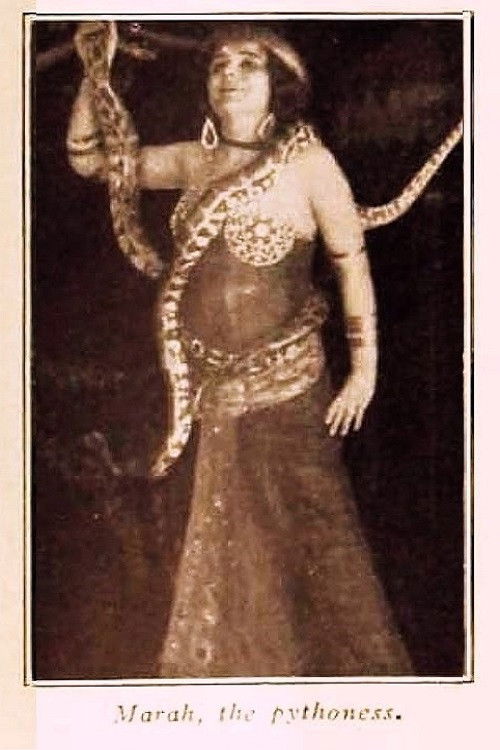 Marah, the Pythoness (1914) poster