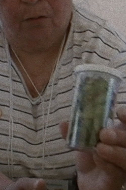 Médecine traditionnelle (2011) poster