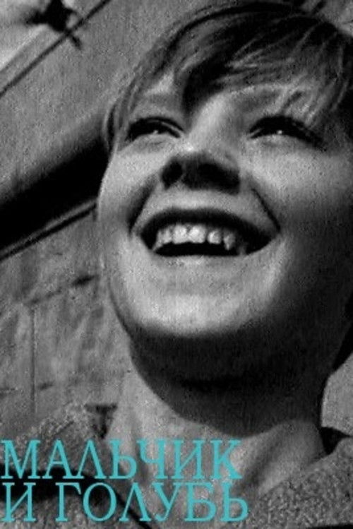 The Boy and the Pigeon (1961) poster