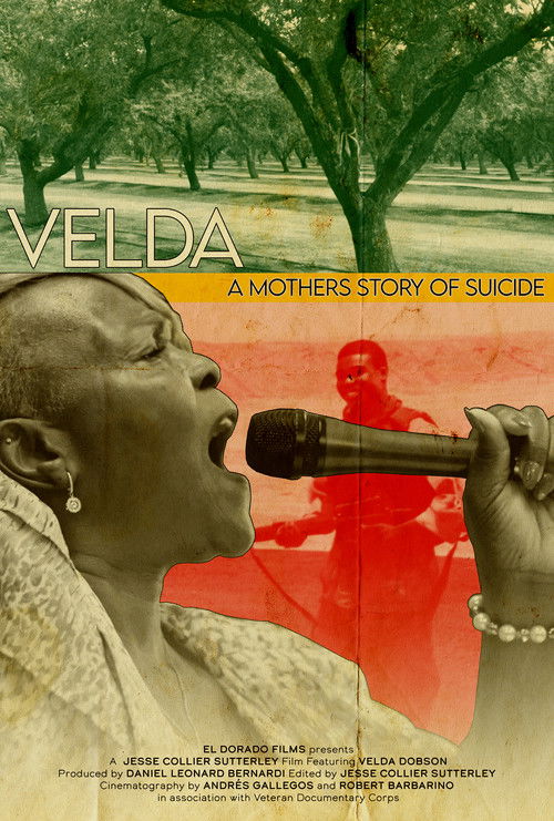 Velda: A Mom's Story of Suicide (2024) poster