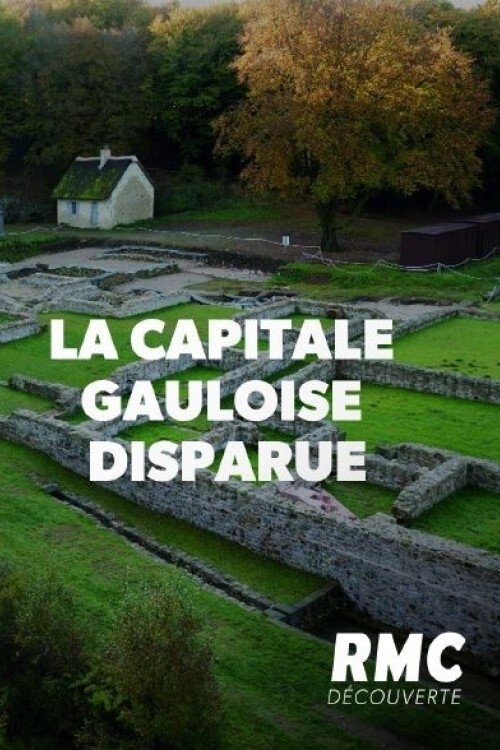 La capitale gauloise disparue (2020) poster