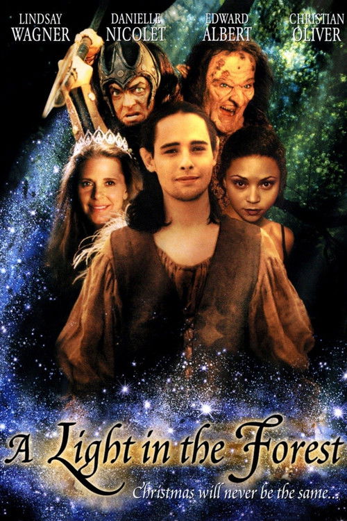A Light in the Forest (2003) poster