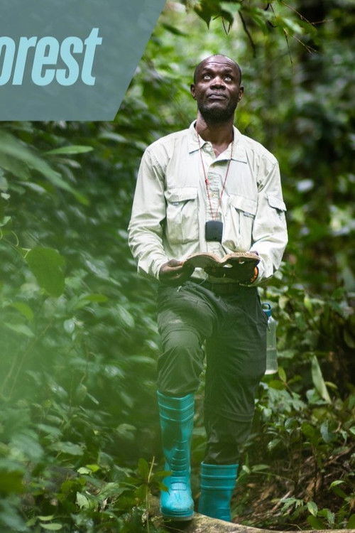 Eyes on the Forest (2024) poster