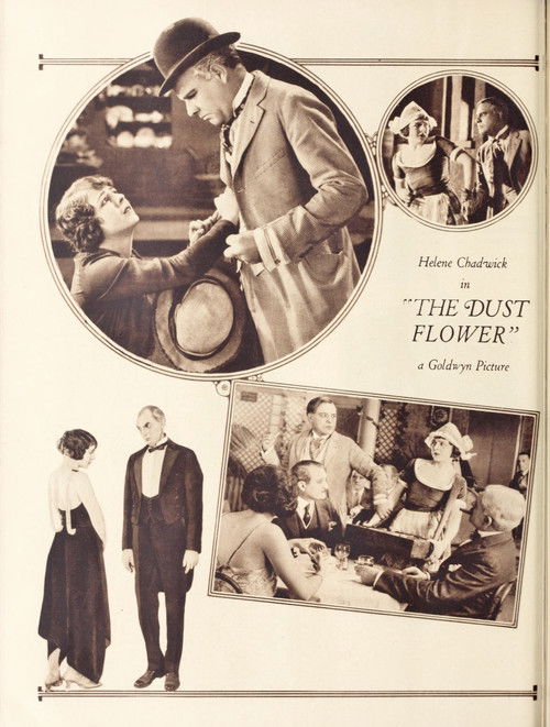 The Dust Flower (1922) poster