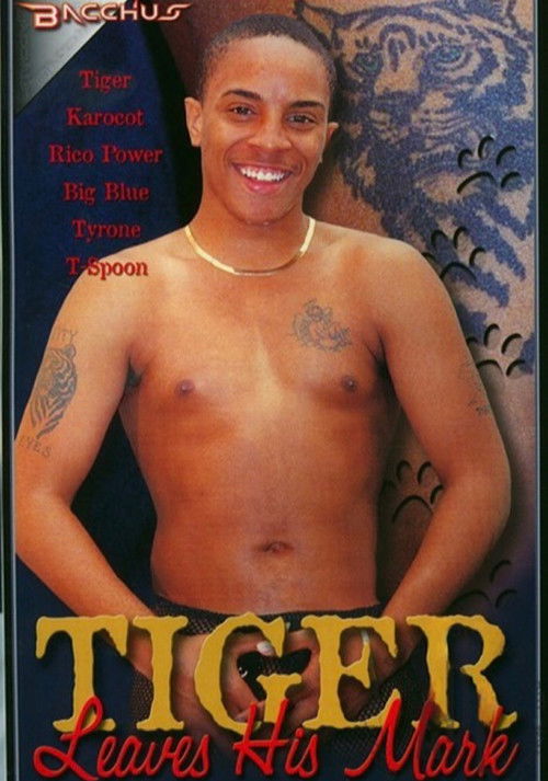 Tiger Leaves His Mark (2003) poster