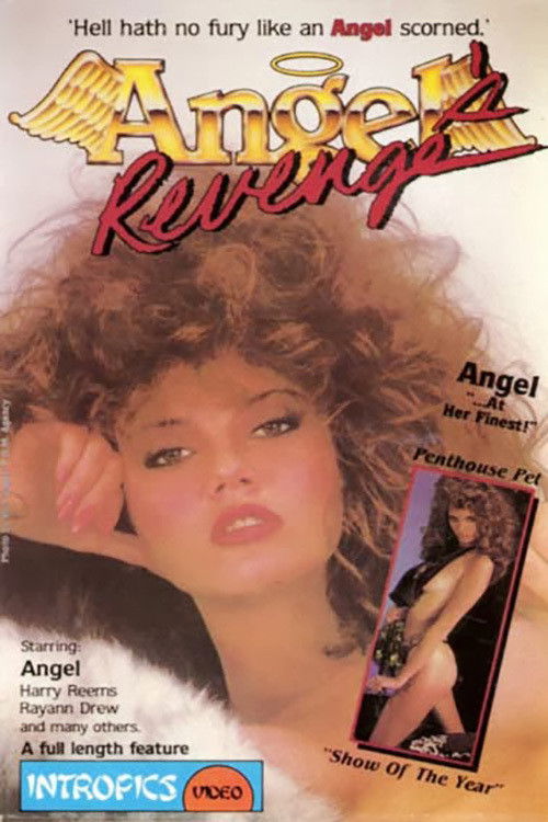 Angel's Revenge (1986) poster