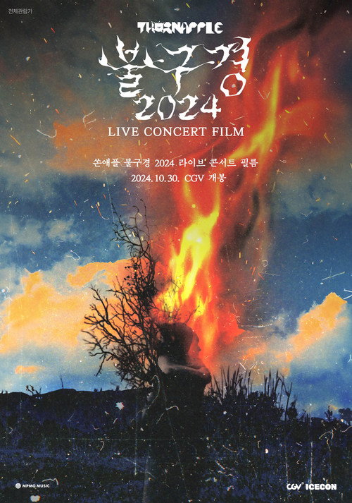 쏜애플 불구경 2024 라이브 콘서트 필름 (2024) poster