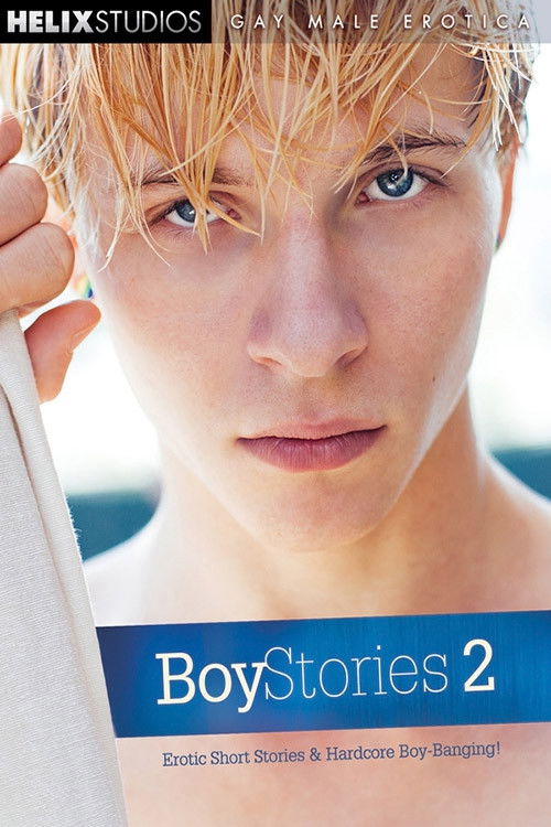 Boy Stories 2 (2014) poster