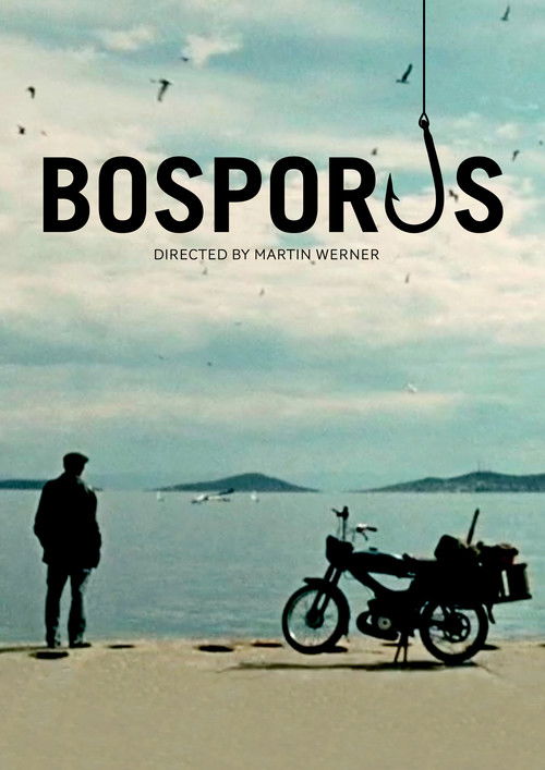 Bosporus (2011) poster