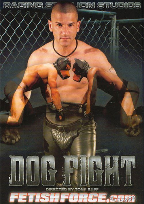 Dog Fight (2011) poster