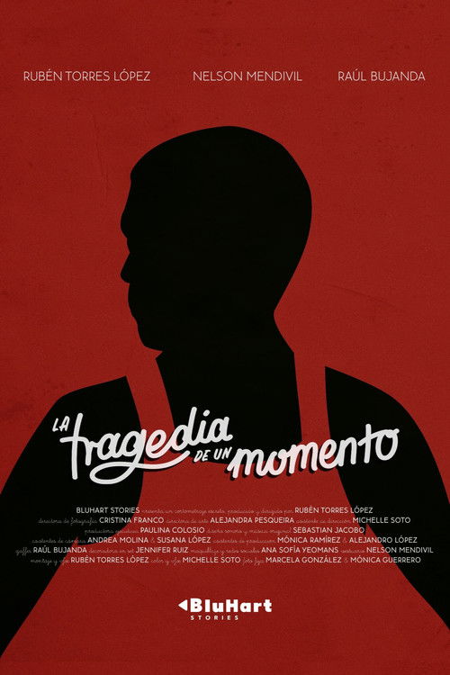 The Tragedy of a Moment (2024) poster