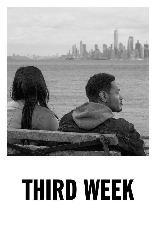 Third Week (2024) poster